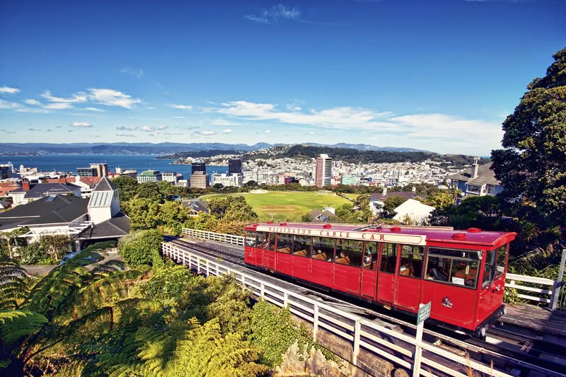 Top Ten Things to Do in Wellington, New Zealand | CPG Hotels